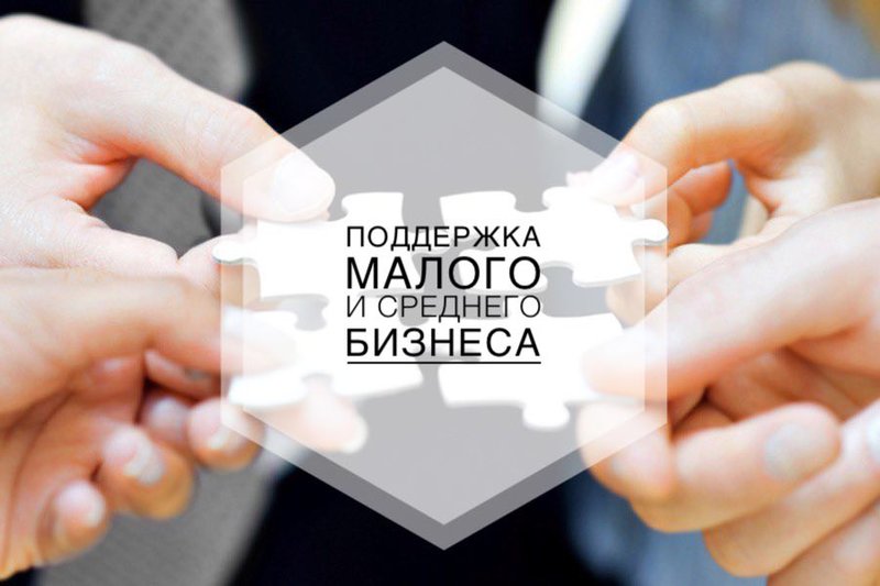 Read more about the article Поддержка МСП: Льготный займ по заниженной ставке